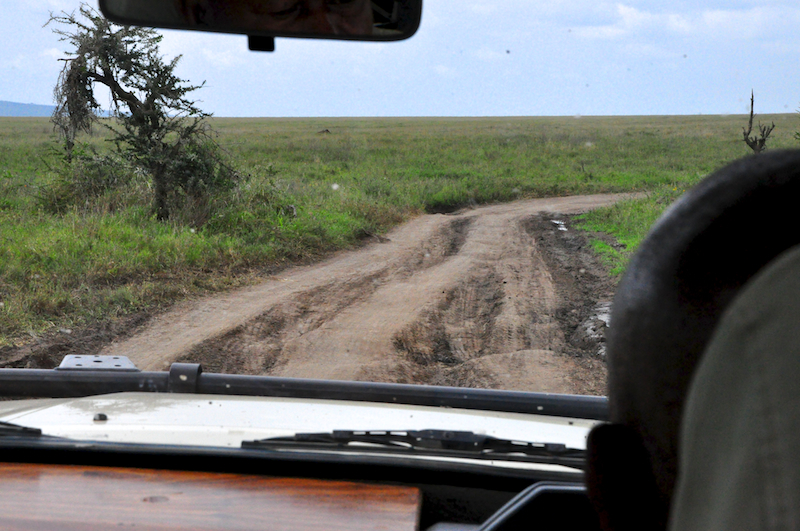 Melanie Heinrich Travel Images Africa